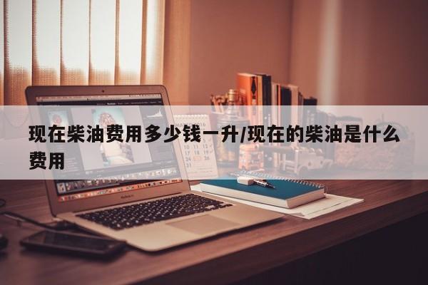 现在柴油费用多少钱一升/现在的柴油是什么费用