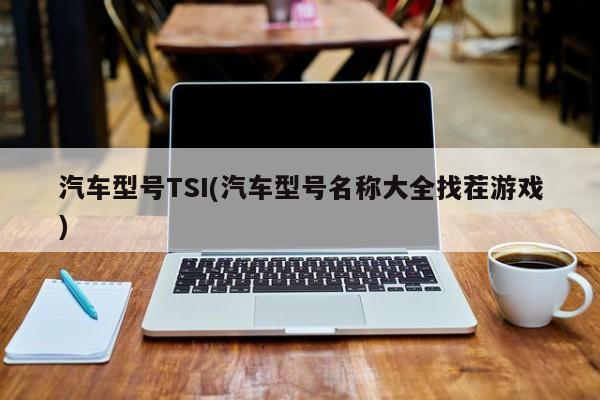 汽车型号TSI