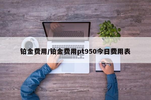 铂金费用/铂金费用pt950今日费用表