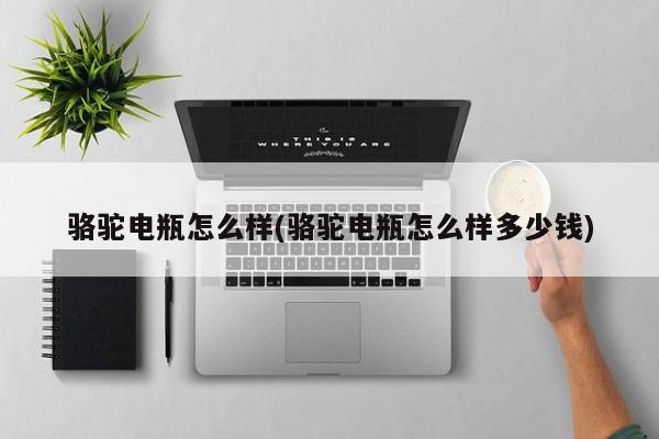 骆驼电瓶怎么样(骆驼电瓶怎么样多少钱)