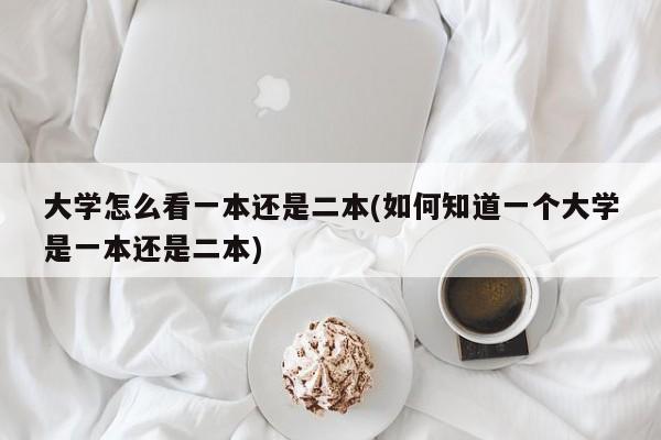 大学怎么看一本还是二本