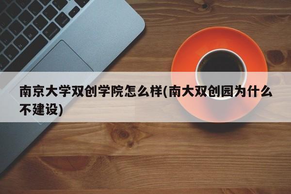 南京大学双创学院怎么样(南大双创园为什么不建设)