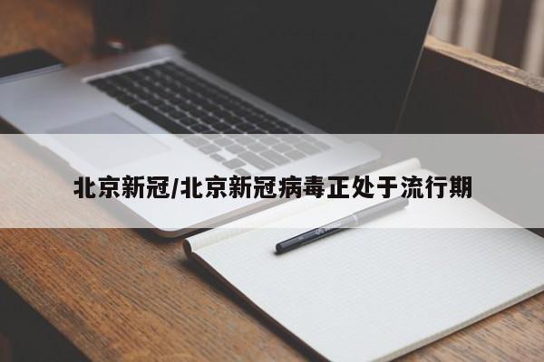 北京新冠/北京新冠病毒正处于流行期