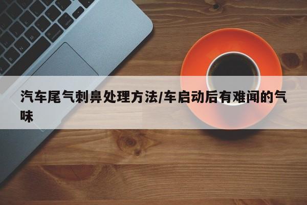 汽车尾气刺鼻处理方法/车启动后有难闻的气味