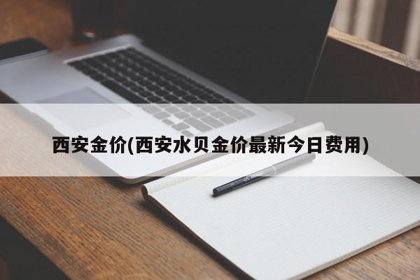西安金价
