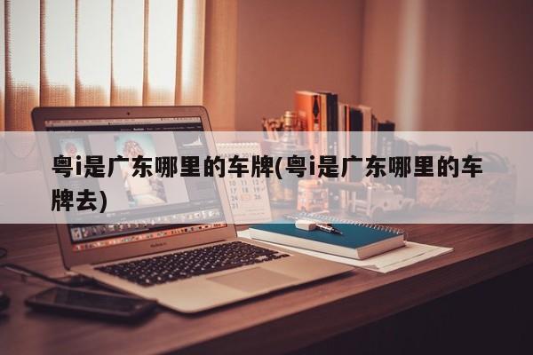 粤i是广东哪里的车牌
