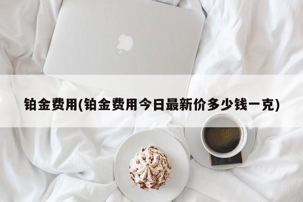 铂金费用(铂金费用今日最新价多少钱一克)