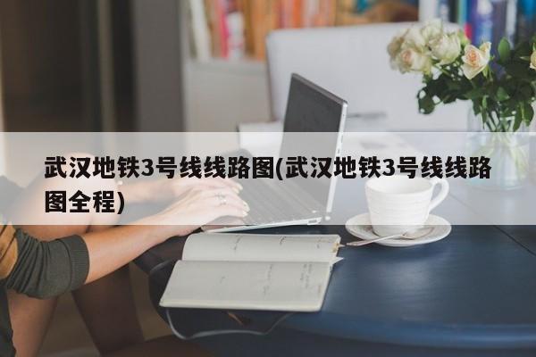 武汉地铁3号线线路图(武汉地铁3号线线路图全程)