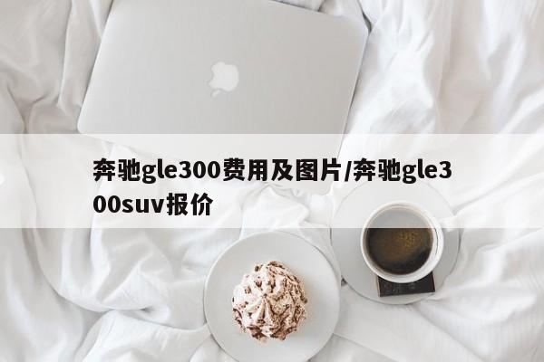 奔驰gle300费用及图片/奔驰gle300suv报价
